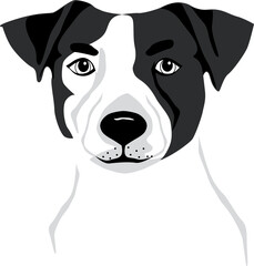 Jack Russell Terrier purebred puppy dog vector illustration tattoo