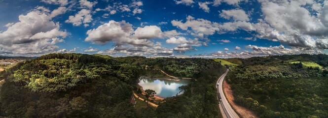 Panorama floresta.