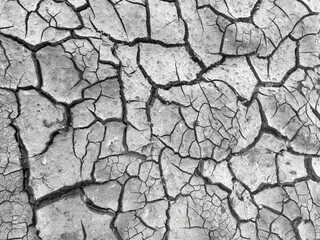 Dry Cracked Earth. Texture of dry cracked soil. Global Warming Climate Changing