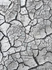 Dry Cracked Earth. Texture of dry cracked soil. Global Warming Climate Changing