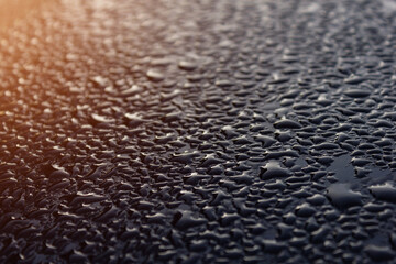 Drops of water after the rain, in the rays of the sun.