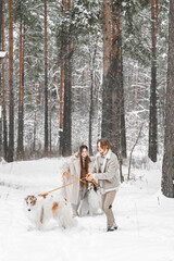 Love romantic young couple girl, guy in snowy cold winter forest walking with pet, dog of hunting...
