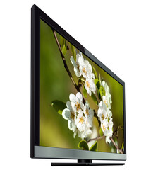 Flat screen tv with flowers on screen isolated, 3d  monitor realistic illustration.