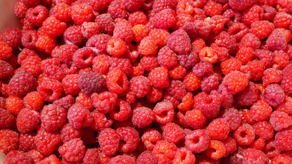 heap of fresh tasty raspberry as textured background, top view,