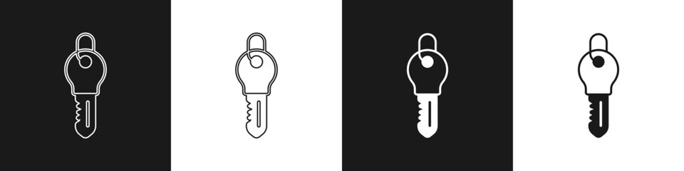 Set Key icon isolated on black and white background. Vector