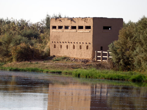 Azraq wetland reserve, Jordan