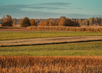 Krajobraz jesienny o zachodzie słońca  © Marcin