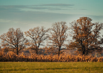 Jesienny zachód słońca  © Marcin
