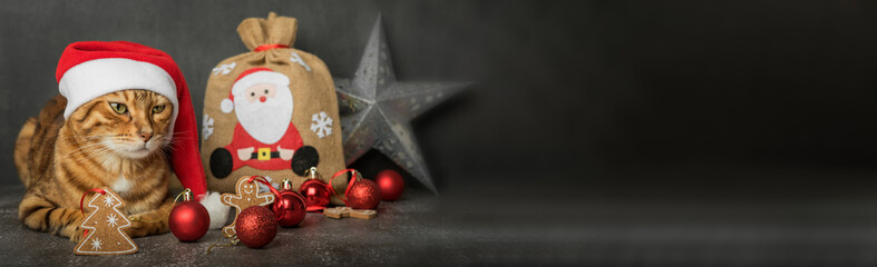 Bengal cat with Christmas decorations on a black background.Greeting card.