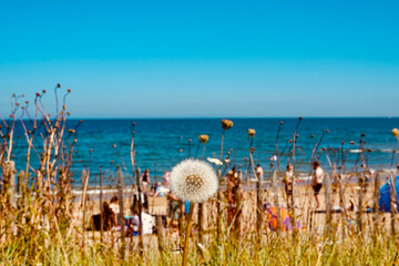 nets on the beach