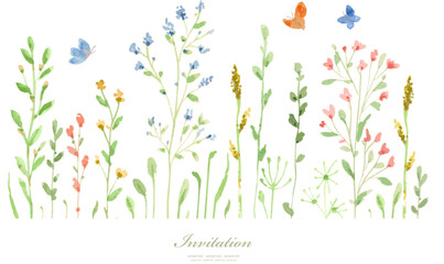 Watercolor meadow flowers. Vector illustration. Banner with grow - 541982079