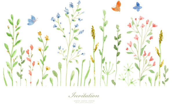 Watercolor meadow flowers. Vector illustration. Banner with grow