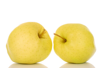Two ripe yellow apples, macro, isolated on white background.