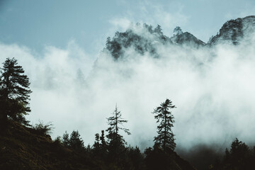 Misty silhouette forest and mountain of Rara Lake in  Rara National Park, Mugu Nepal