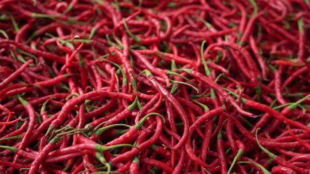 Cabe or cabai merah keriting (red curly chili) is one of the most wanted chili varieties in Indonesia.
