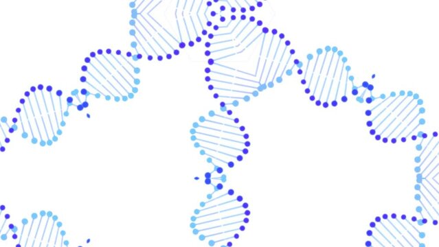 Abstract animation of kaleidoscope motion form into DNA genetics structure pattern isolated on the white background. Creative fractal forms morph and oscillate, and dynamic background concept.