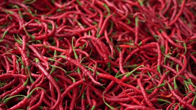 Cabe or cabai merah keriting (red curly chili) is one of the most wanted chili varieties in Indonesia.