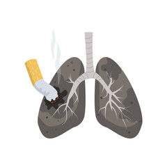 Smoker's lungs with cigarette butt  isolated on white background