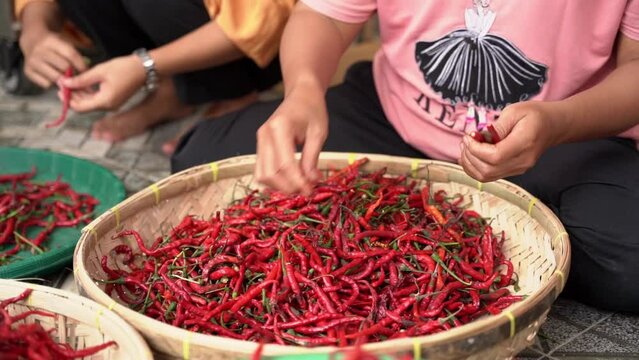 Cabe or cabai merah keriting (red curly chili) is one of the most wanted chili varieties in Indonesia.