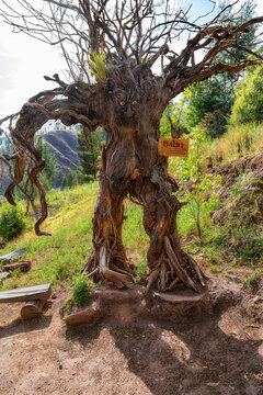 Cusco, Peru - September 26, 2022: Characters from Lord of the Rings have been created from trees and wood at Bosque ENTS Cusco, a new attraction for tourists..