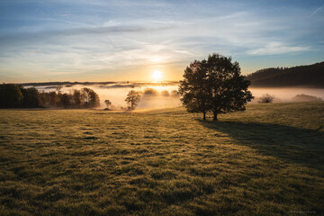 Nebelmorgen