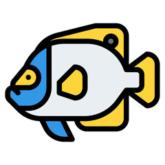 blueface angelfish sea animal