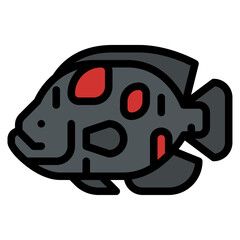 oscar fish sea animal