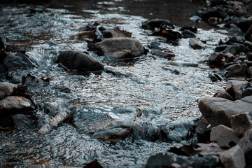 rocks in the flowing creek