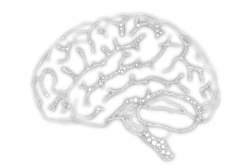 Hand drawn scientific illustration glowing brain synapse sensory example colorless gray white transparent element