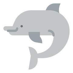 dolphin sea animal