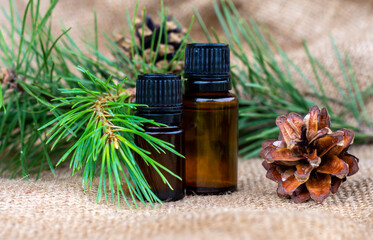 Pine essential oil. Dark insole bottles with essential oil and pine branch