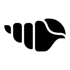 conch shell sea animal