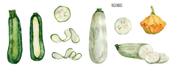 Watercolor vegetables set. Fresh, healthy, vegetarian, local food. Cooking zuccini, zuccini slices, squash.