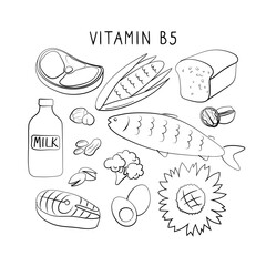 Vitamin B5 Pantothenic acid. Groups of healthy products containing vitamins. Set of fruits, vegetables, meats, fish and dairy