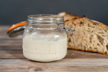 Sourdough starter