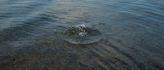 Splash and circles from a stone on the calm water of a lake