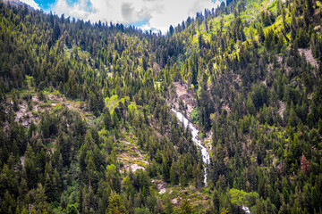 Waterfall in Wasatch mountains of Alta, Utah at Albion Basin with evergreen coniferous fir pine trees forest woods, blue clouds sky in summer