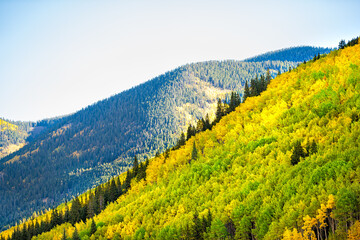 Golden aspen forest views along Castle Creek, Colorado Rocky mountains with colorful autumn fall...