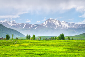 Crested Butte, Colorado rural summer countryside with blue clouds rain sky, farm pasture field of lush green grass by houses, mountain in background
