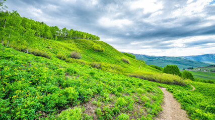 Panorama view of Colorado Mt Crested Butte ski resort meadow at wildflowers festival with Snodgrass hiking trail meadow valley view in summer