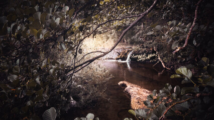 Bank of the Baias River, Erriberabeitia, Araba - Alava, Basque Country.  © Asier