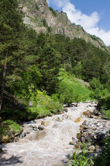 Pastoral landscape - the Terskol mountain river flows in a picturesque valley on a rocky bottom among high mountains with green grass and trees on a sunny summer day