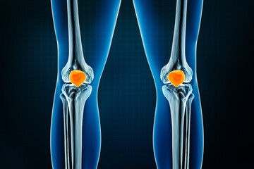 Patella or kneecap bone x-ray front or anterior view. Osteology of the human skeleton, leg or lower limb bones 3D rendering illustration. Anatomy, medical, science, biology, healthcare concepts.