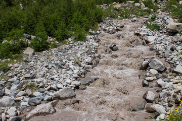 Mountain river Terskol close-up flowing among rocks and grass in Kabardino-Balkaria in Russia on a sunny summer day