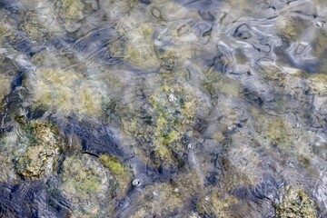 A close view of the clear water surface.