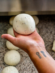 dough balls. oregano and seeds in sourdough. kneading. process of preparing sourdough finished. displaying a sourdough. sourdough for pizza. human hands kneading sourdough pizza dough.