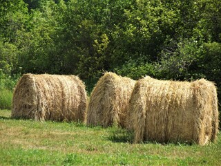 Hay bales in the field.