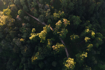 autumn in the mountains