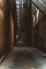 Vertical shot of a narrow alley