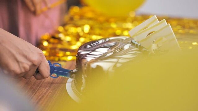 Birthday Cake Cutting, chocolate cake on a plate
